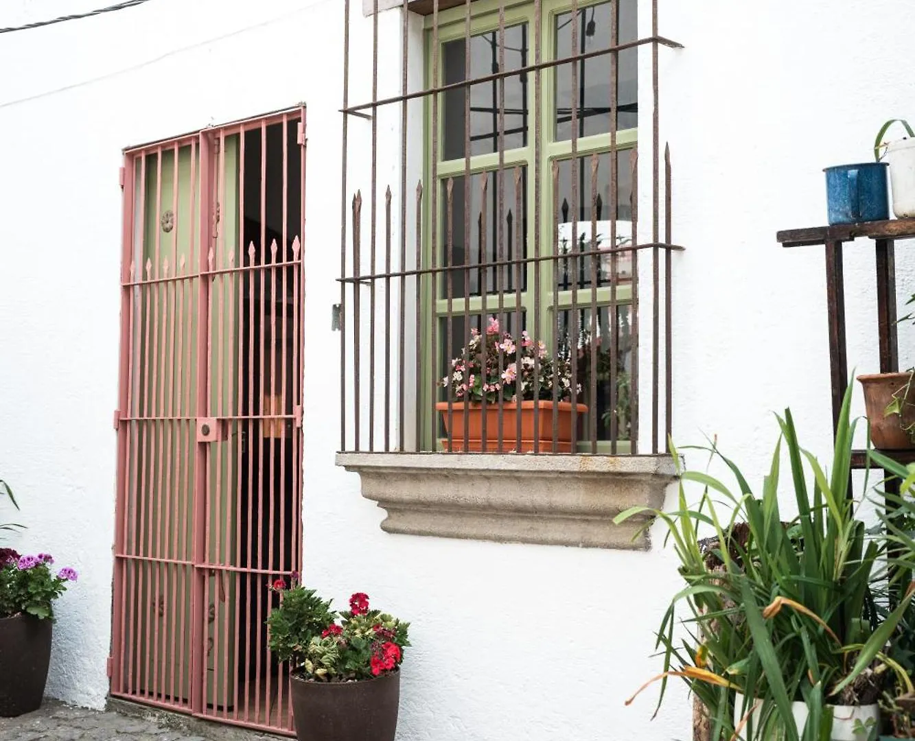 Central Hostel Pondicherry Antigua