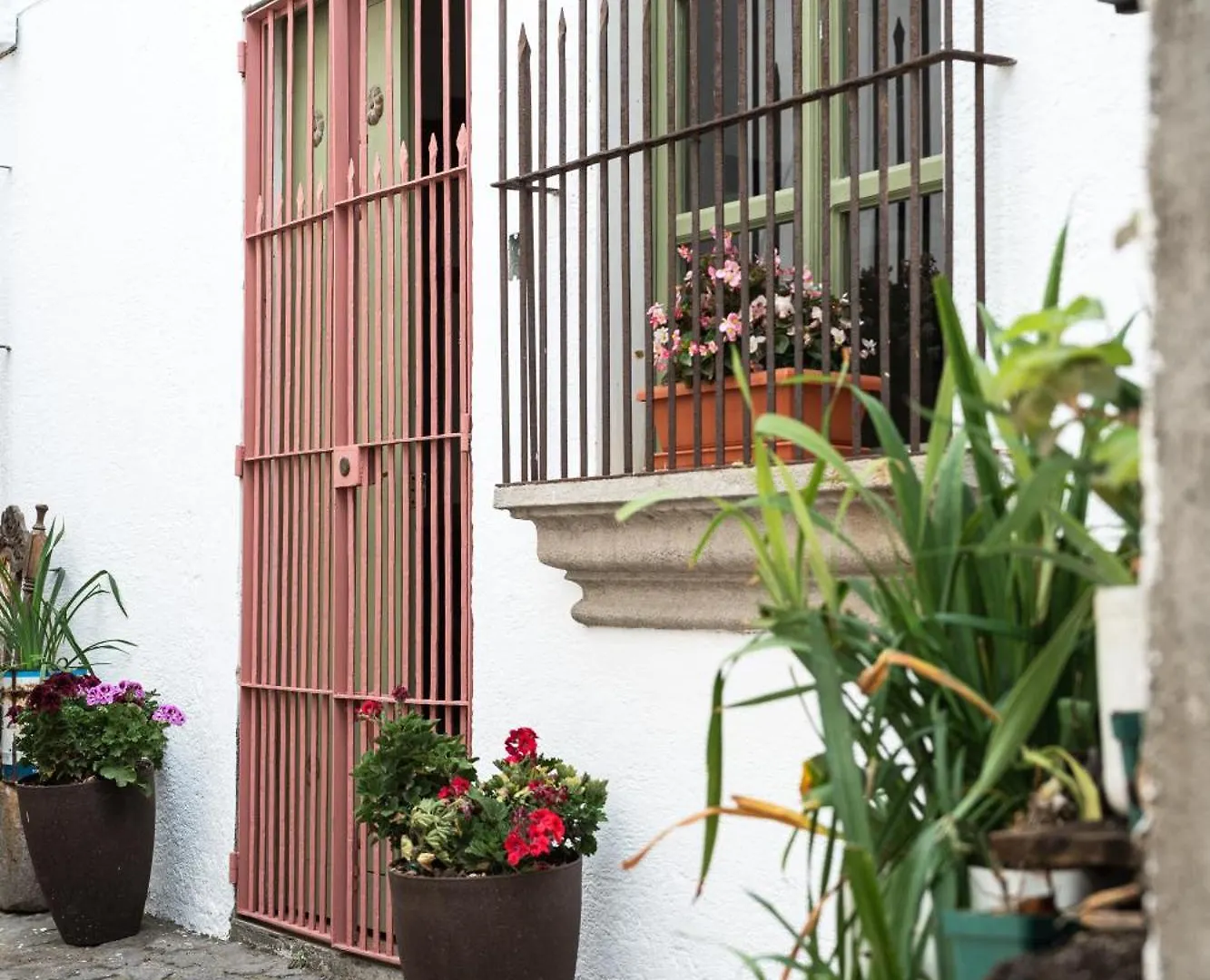 Central Hostel Pondicherry Antigua