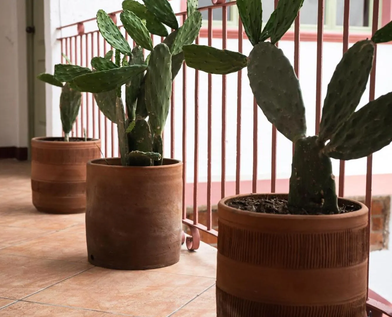 Central Hostel Pondicherry Antigua